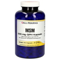 MSM 500 mg GPH Kapseln