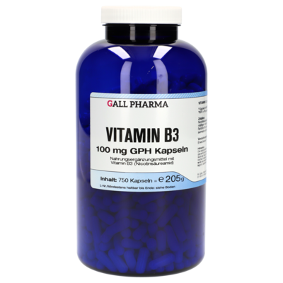 VITAMIN B3 100 mg GPH Kapseln