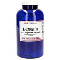 L-CARNITIN 500 mg GPH Kapseln