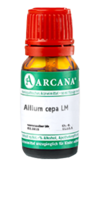 ALLIUM CEPA LM 3 Dilution