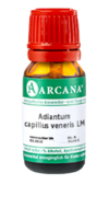 ADIANTUM CAPILLUS veneris LM 1 Dilution