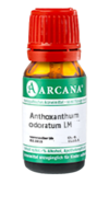 ANTHOXANTHUM odoratum LM 10 Dilution